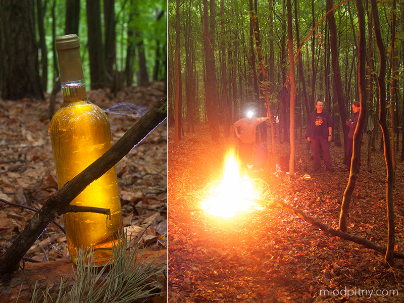 Trójniak Wambierzycki