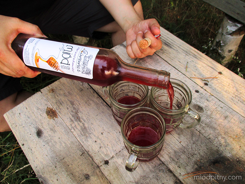 Trójniak Porzeczkowiec