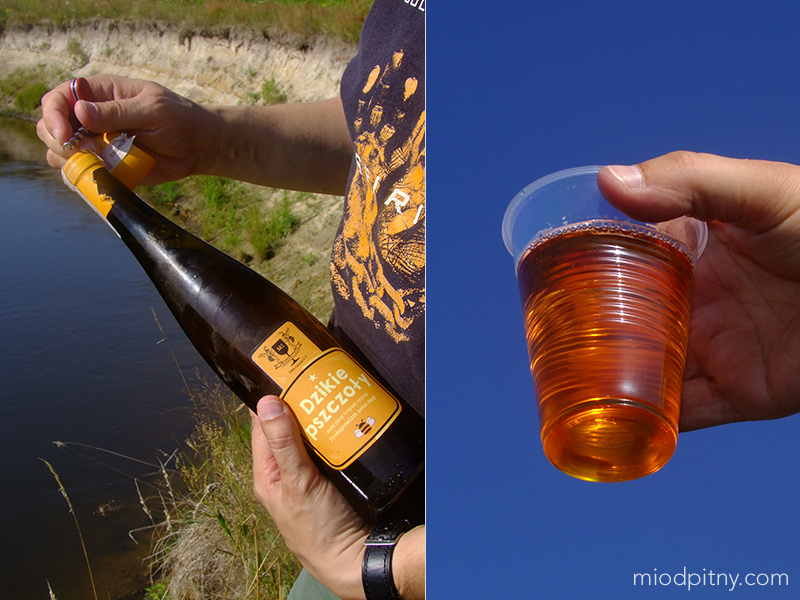 Trójniak sycony Dzikie Pszczoły