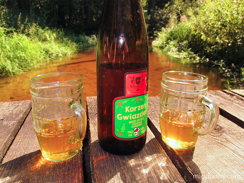 Trójniak Korzeń gwiazdora