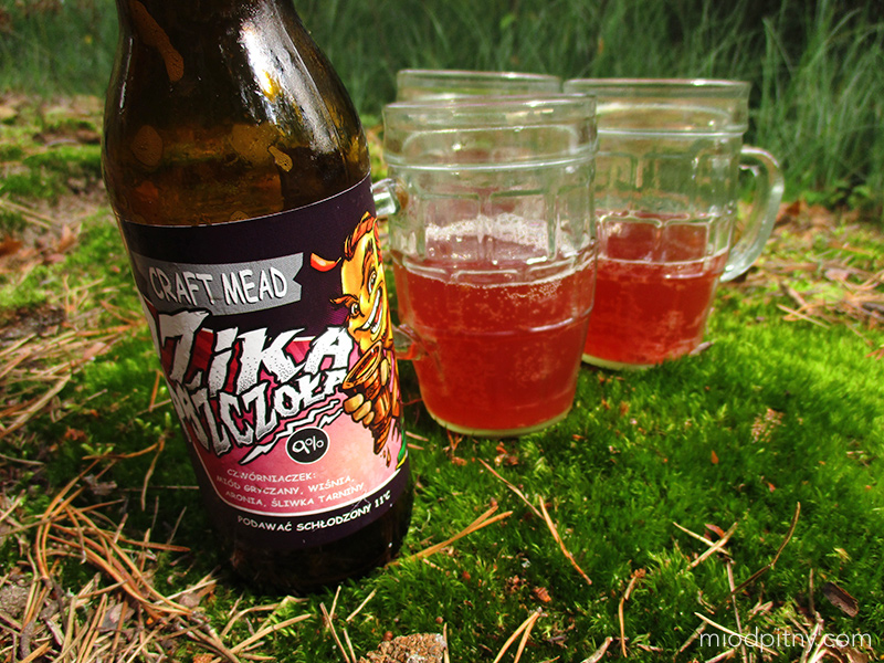 Czwórniaczek Dzika Pszczoła