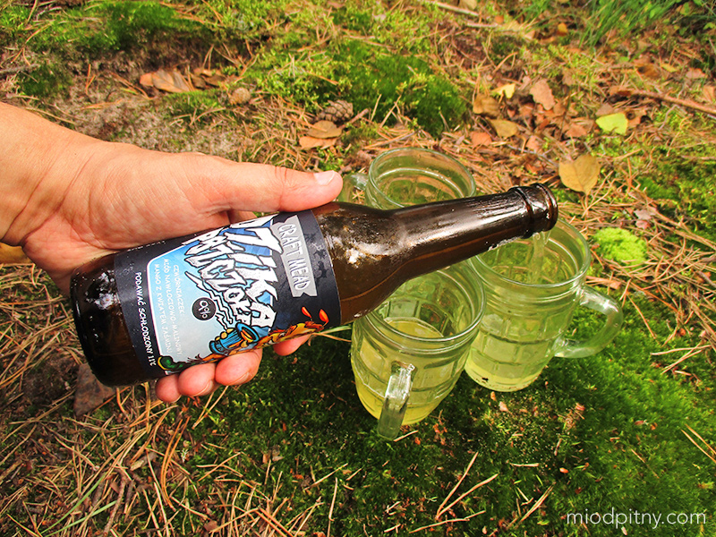 Czwórniaczek Dzika Pszczoła