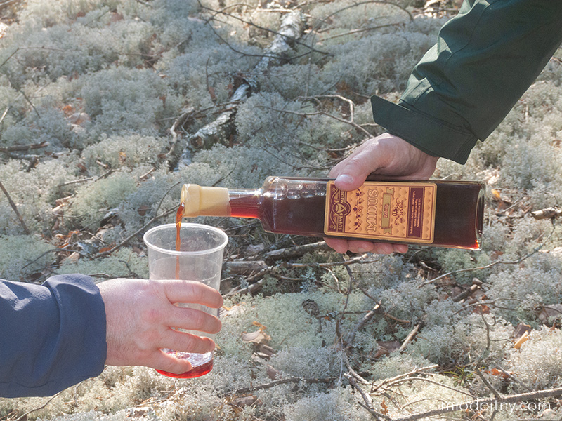 Radvilu - Miód wiśniowy