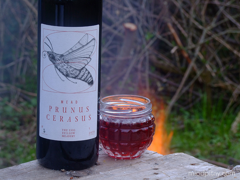 Trójniak Prunus Cerasus - wiśniowy